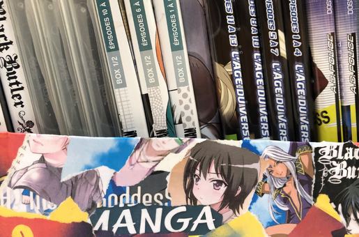 Dvd avec un bandeau sur le bas mentionnant qu'il s'agit de Mangas